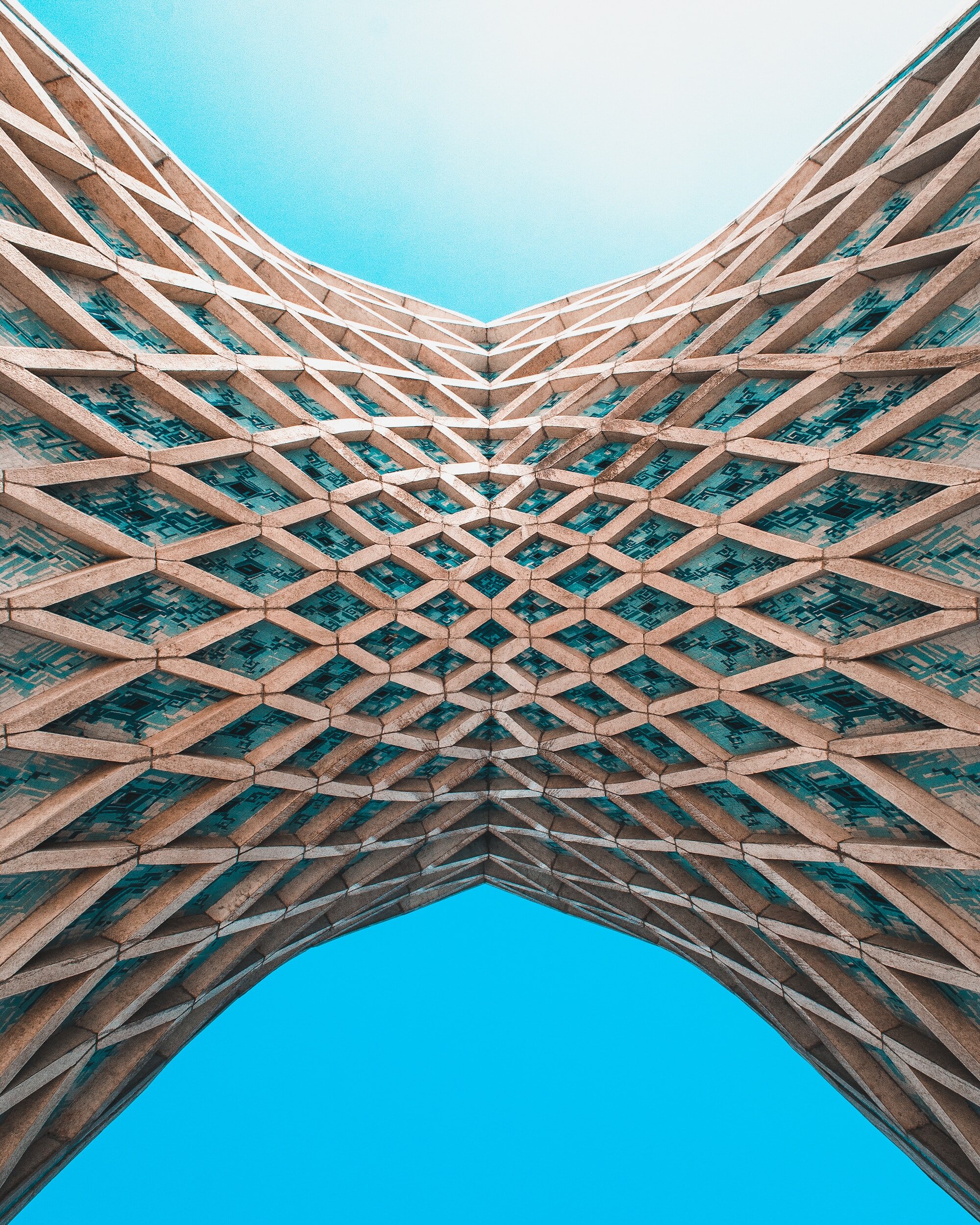 Donor Report: Donor Collaboratives