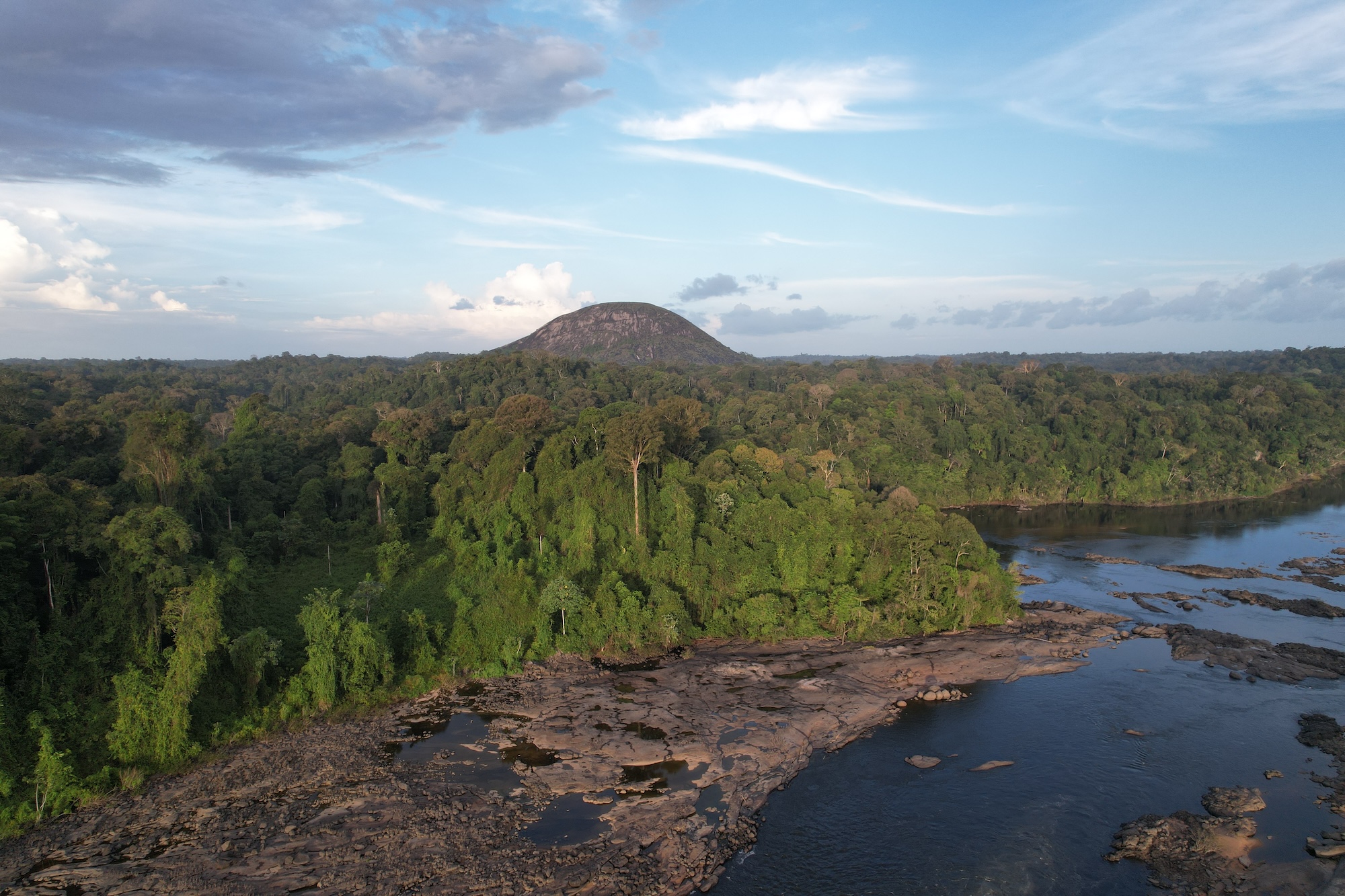 What Indigenous Forest Guardians Need from Funders