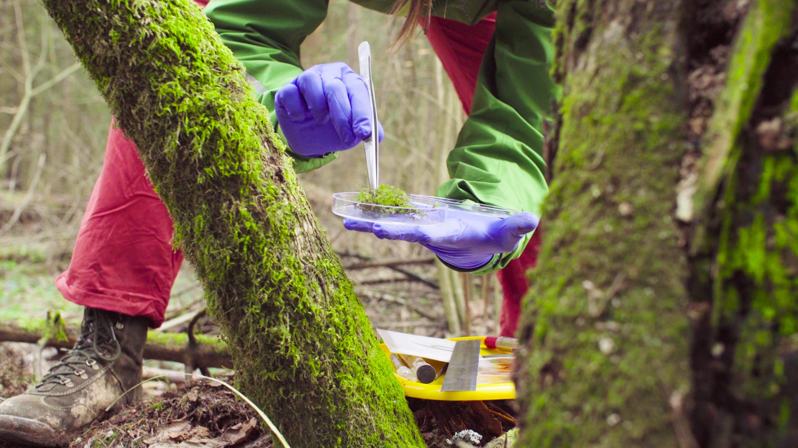 Philanthropy’s Essential Role in Filling Science Funding Gaps