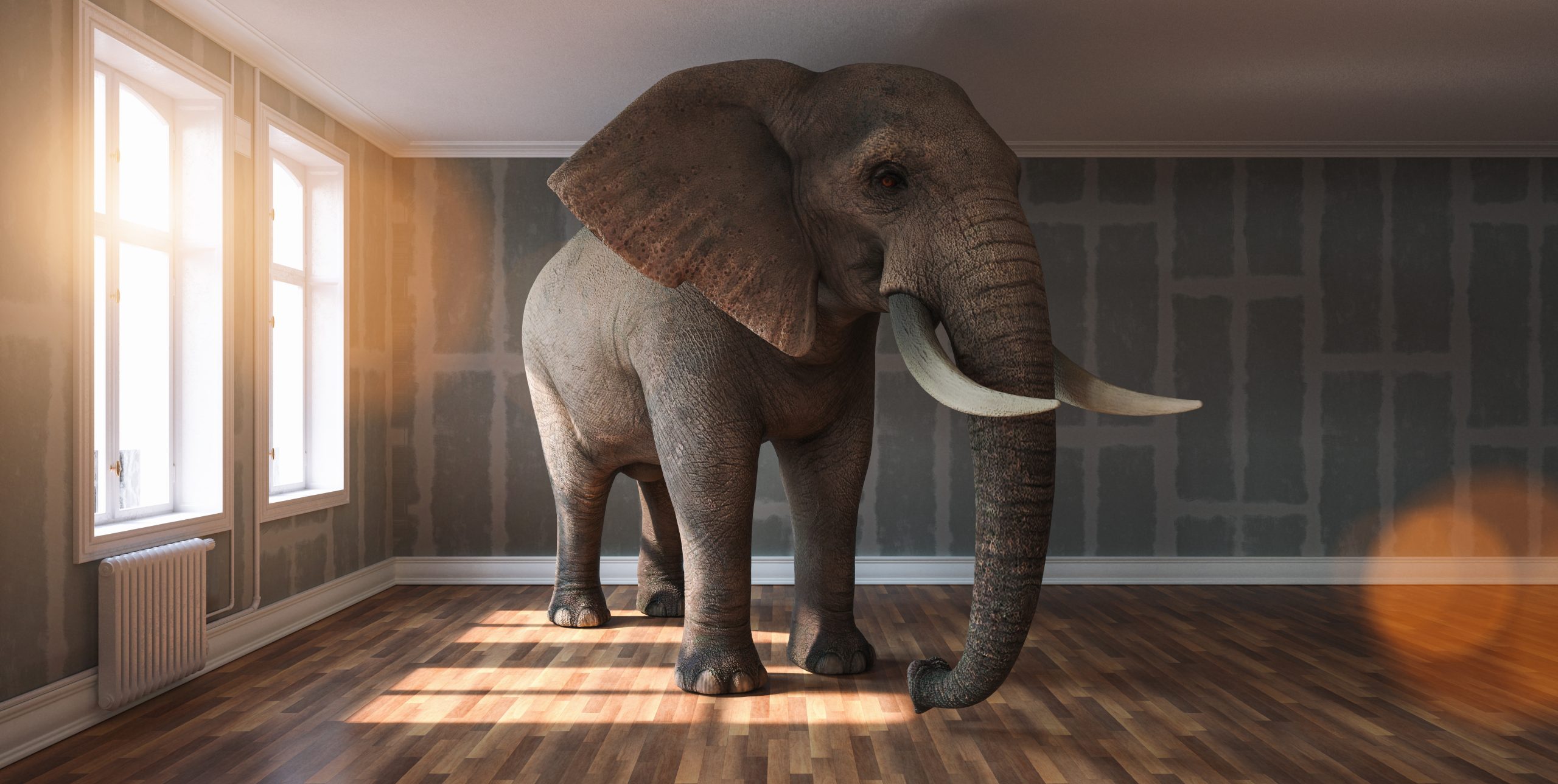 How 2 Efforts to Defend Nonprofits Tiptoe Around the Elephant in the Room