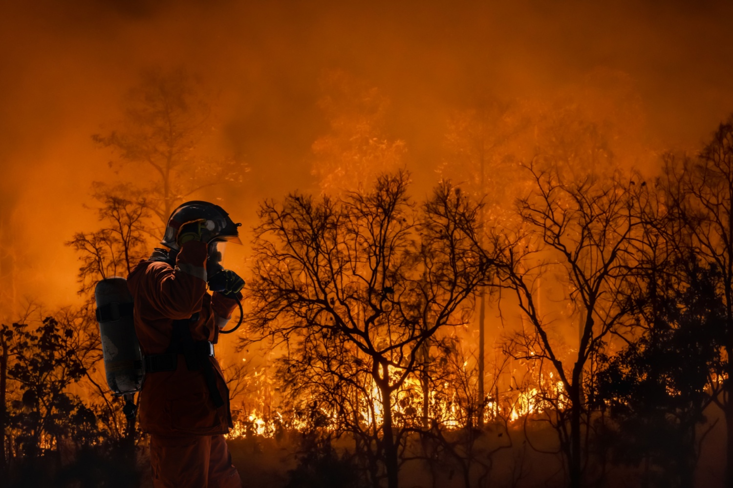 L.A.’s on Fire. Who’s Funding Wildfire Relief and Recovery?