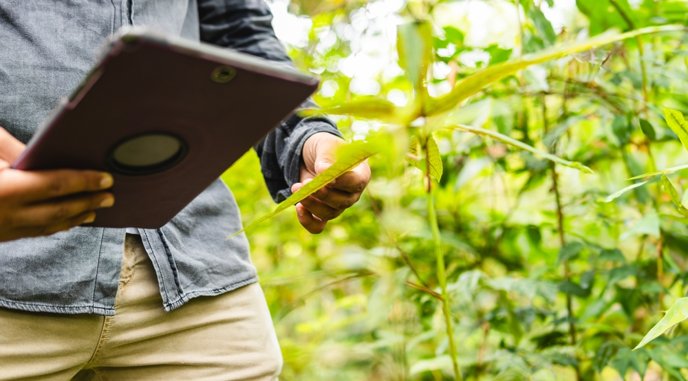 There’s More Funding Than Ever Going Toward This Search for Climate Breakthroughs