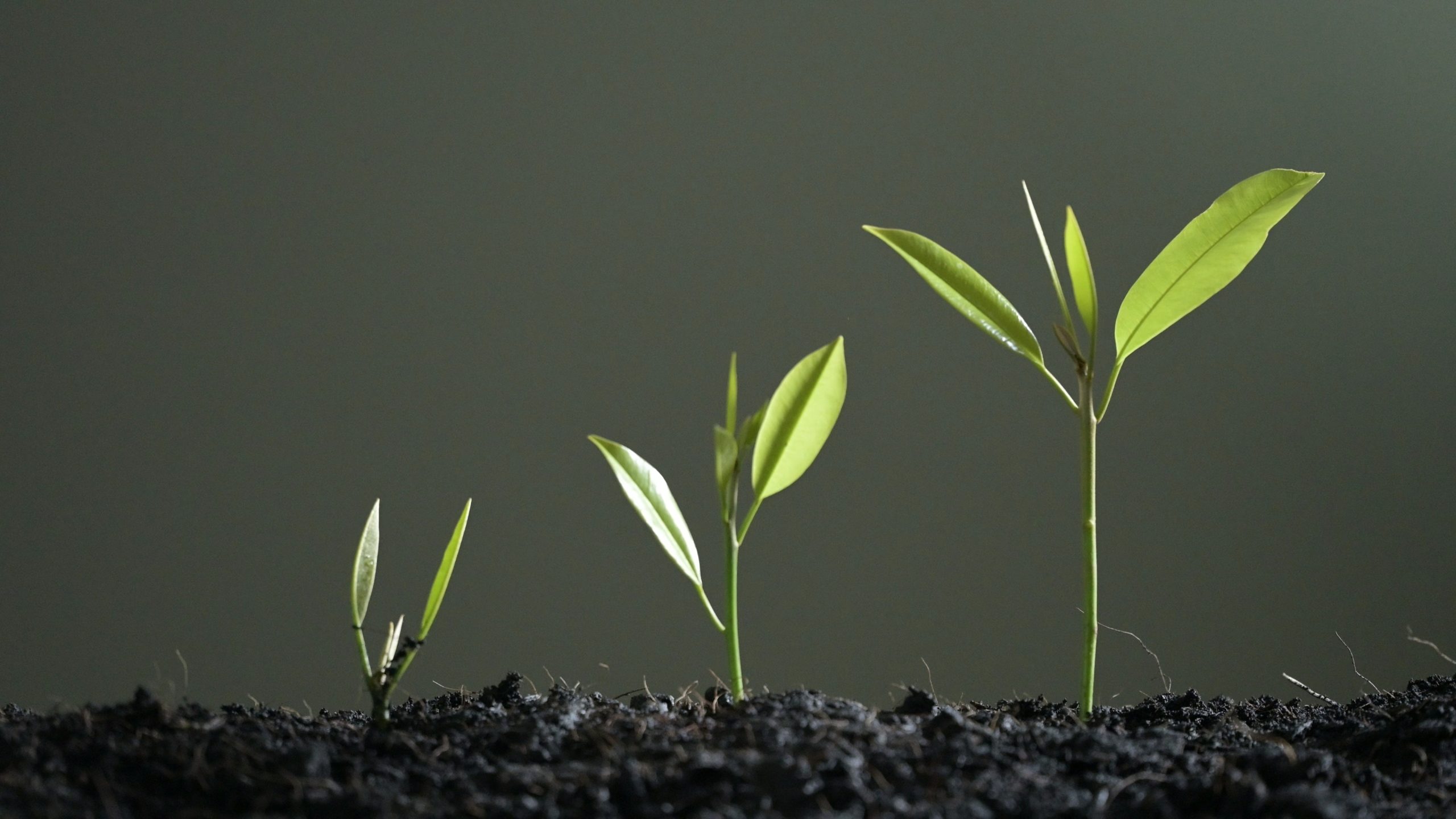 Meet Three Foundations That Got Dramatically Larger in 2023